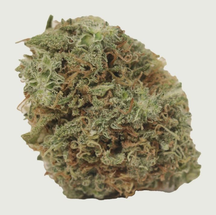 Sativa at The Green Pot