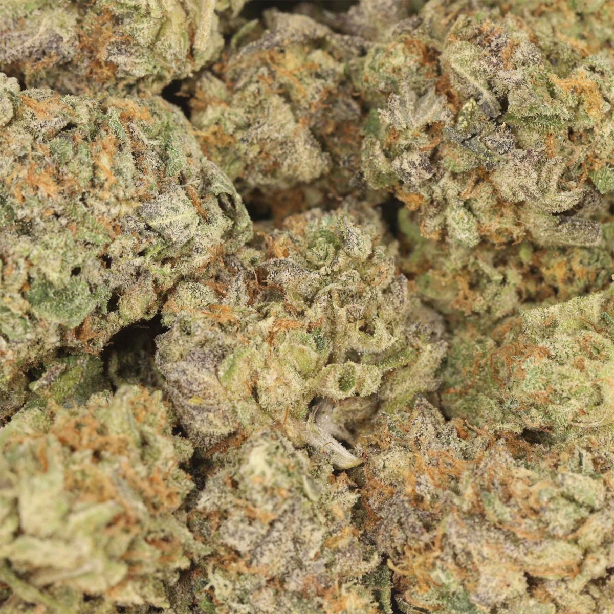 Afghan Kush - Indica at The Green Pot (photo 3)