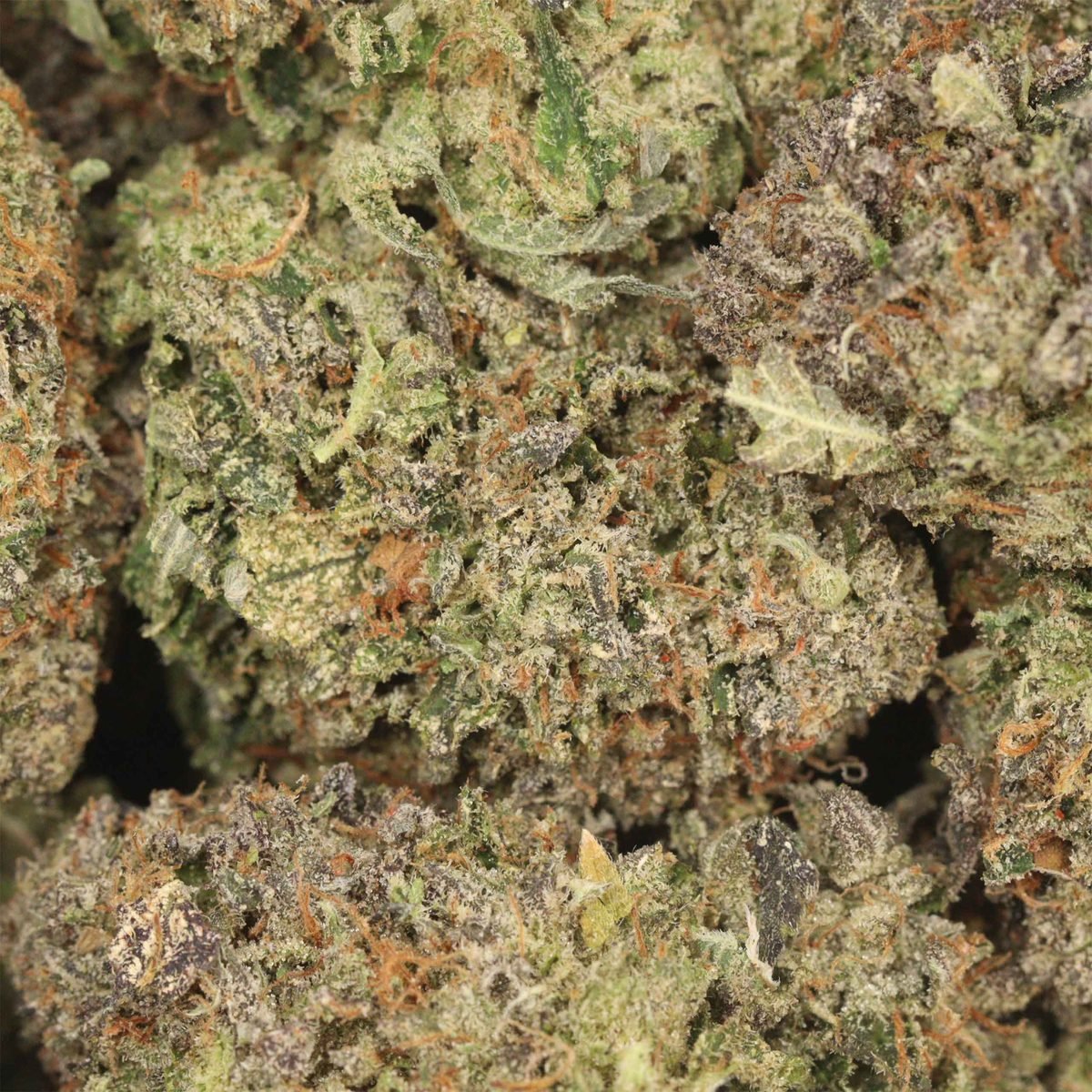 Astro Kush - Indica at The Green Pot (photo 3)