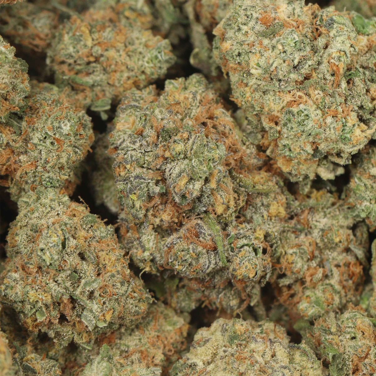 Berry Ice - Indica at The Green Pot (photo 3)