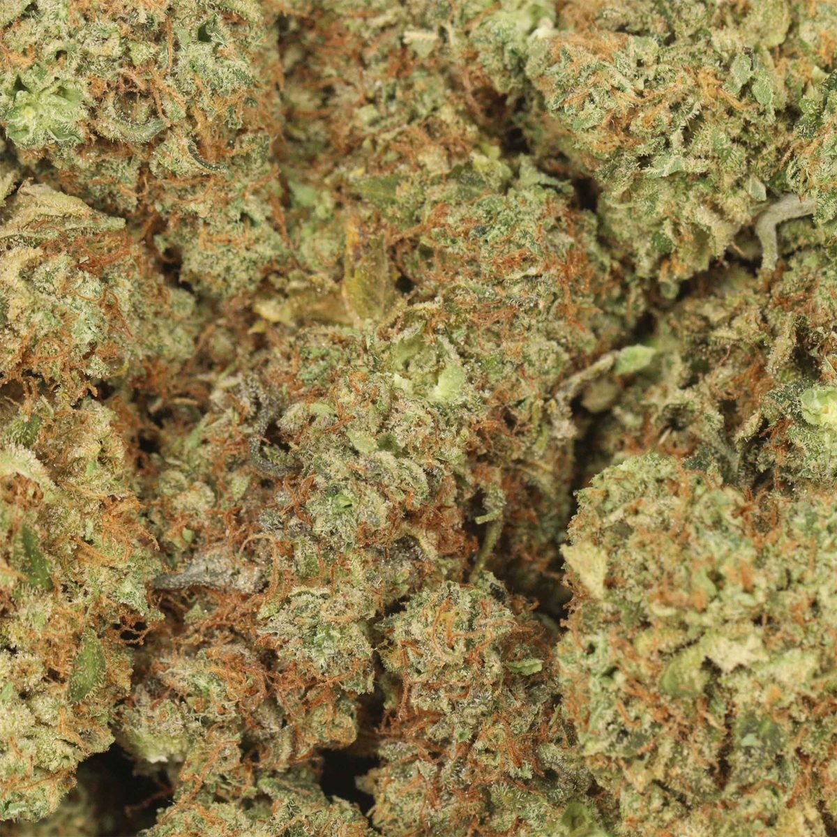 Blue Kong - Indica at The Green Pot (photo 3)