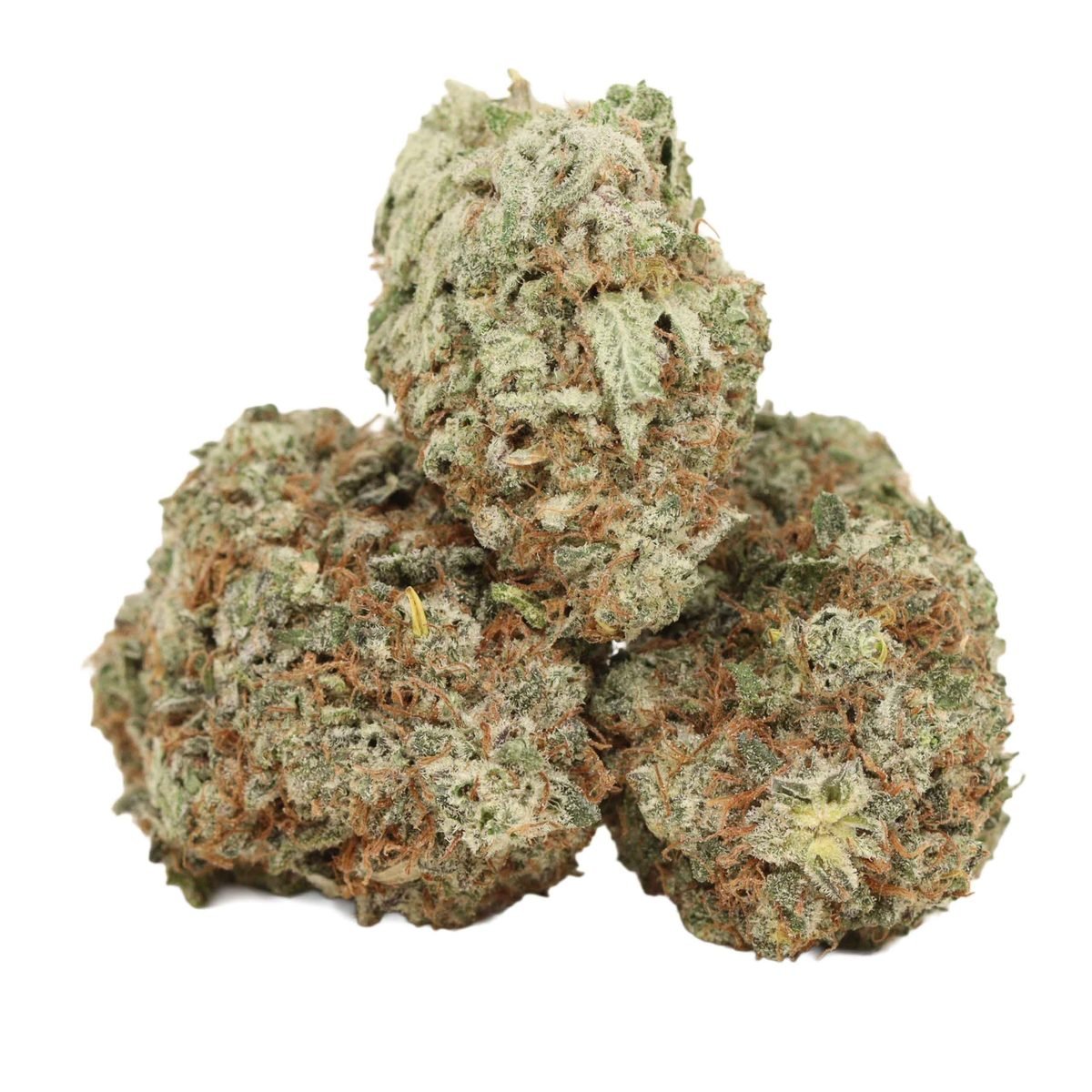 Blueberry Kush - Indica at The Green Pot (photo 2)