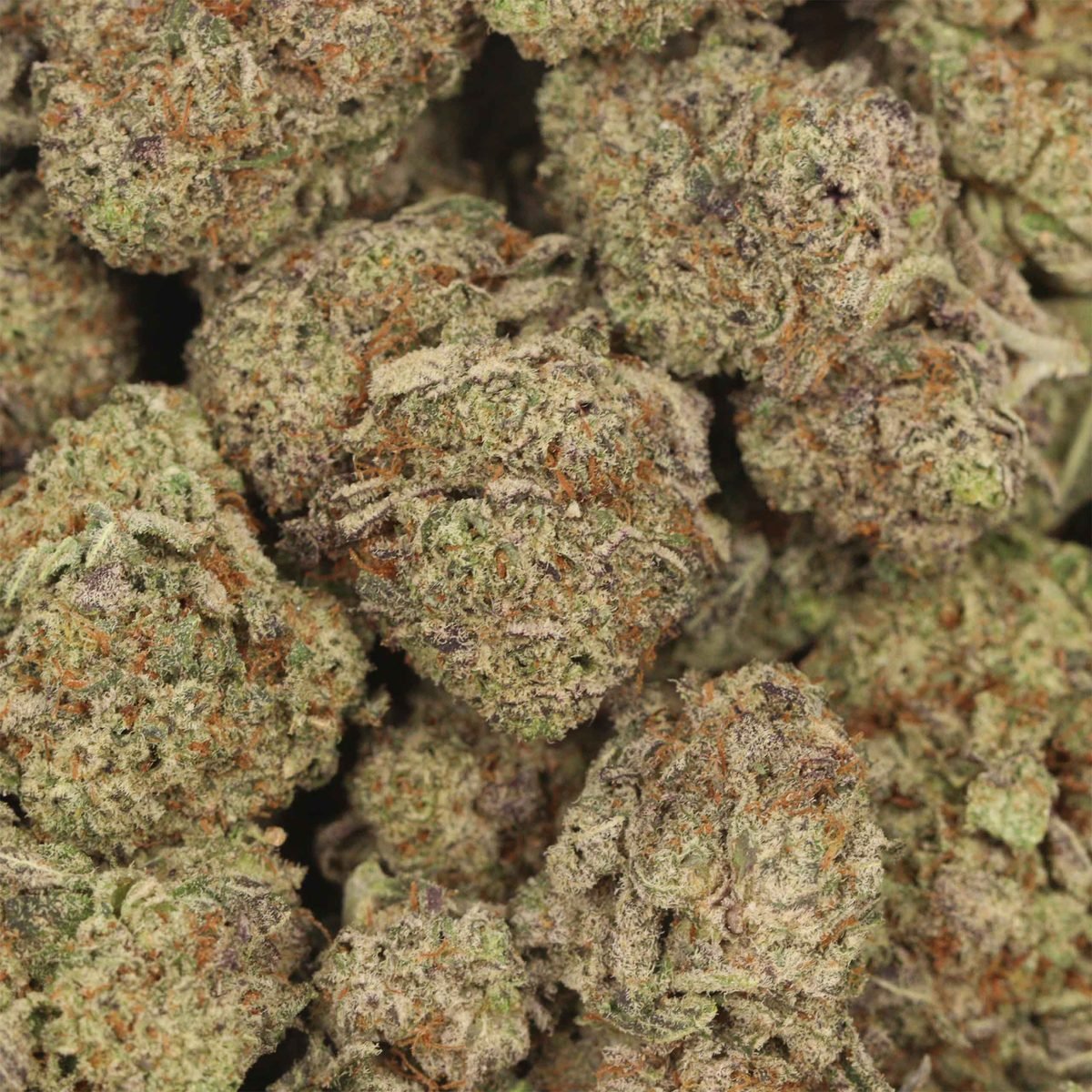 Blueberry Kush - Indica at The Green Pot (photo 3)