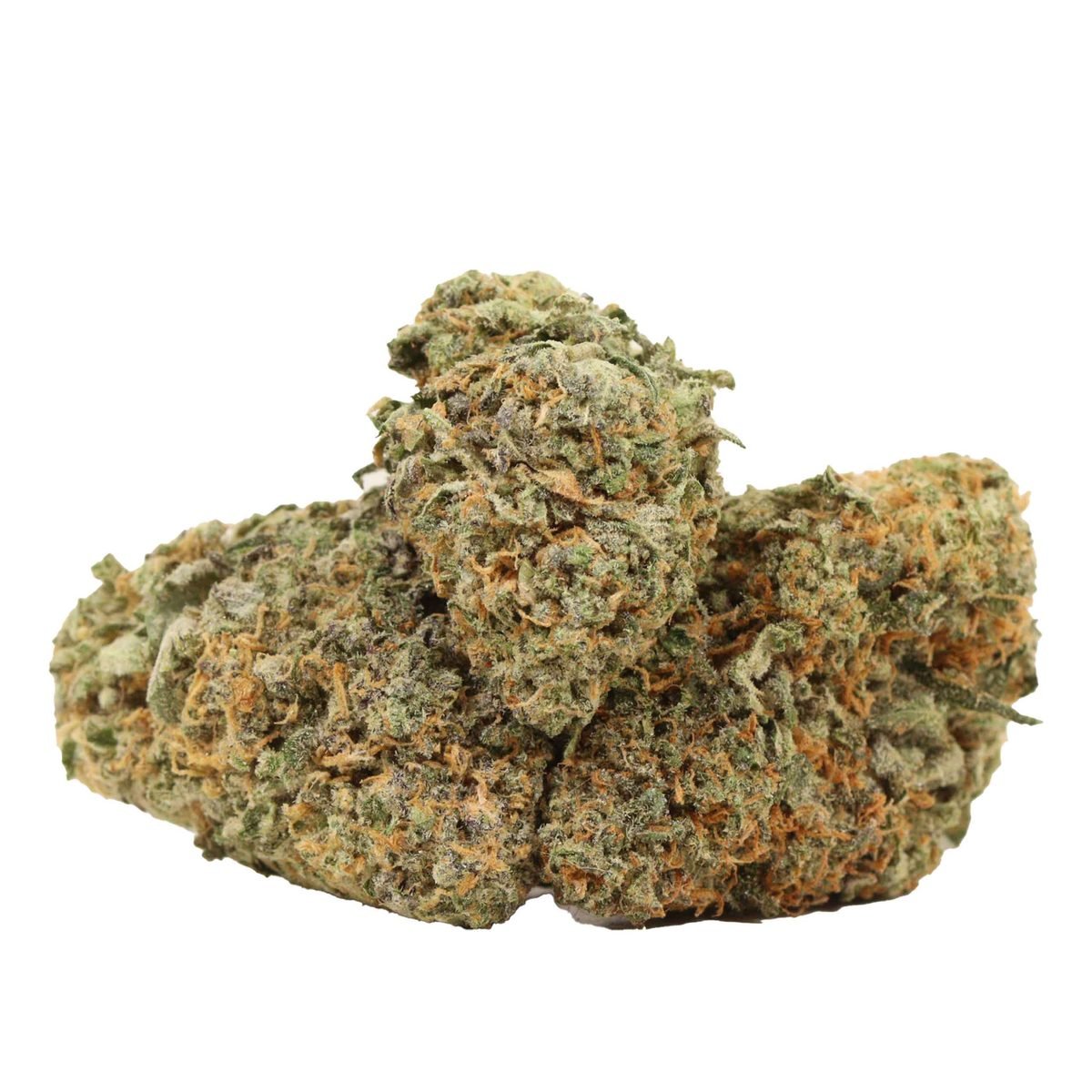 Candy Vanilla - Hybrid at The Green Pot (photo 2)