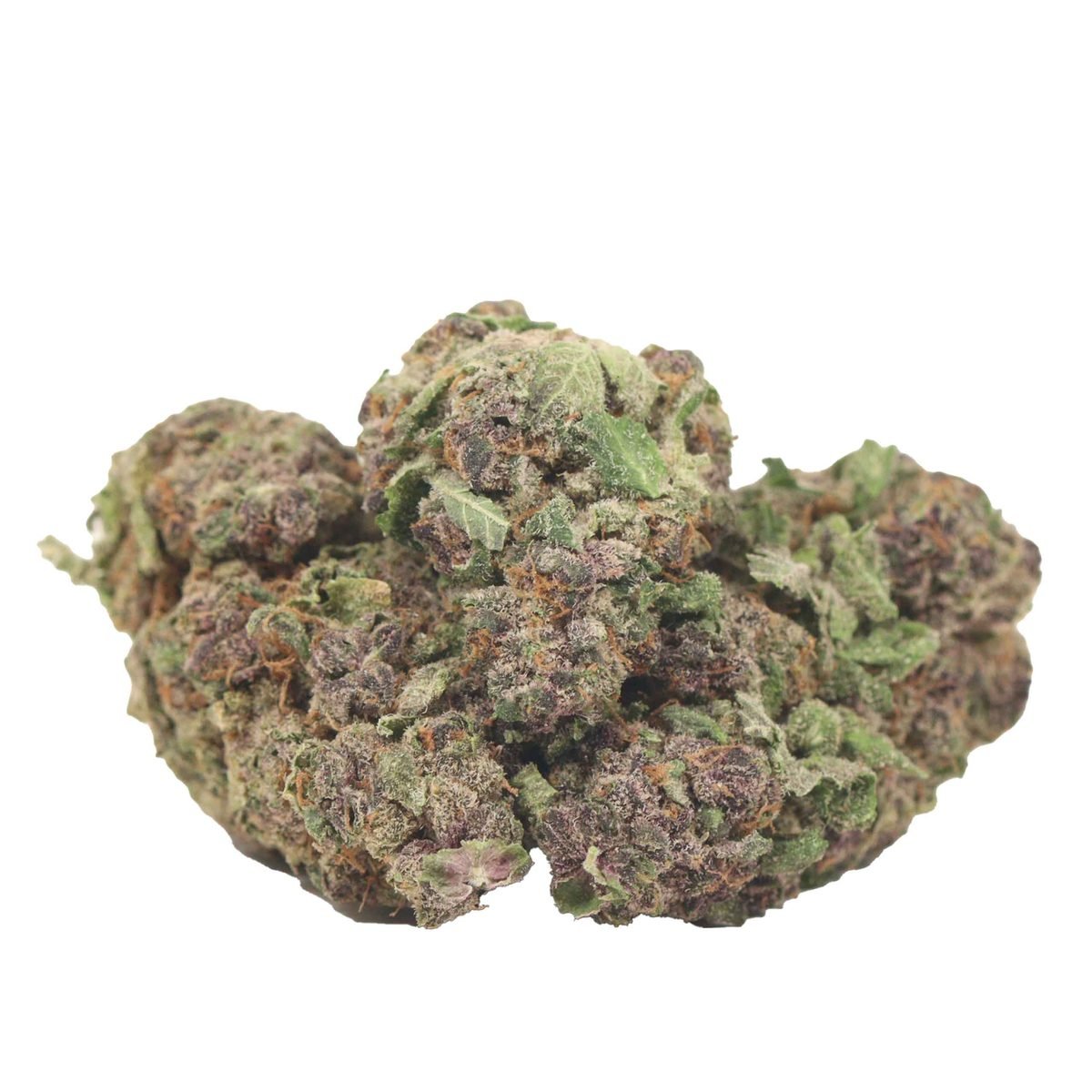Cherry Soda - Hybrid at The Green Pot (photo 2)