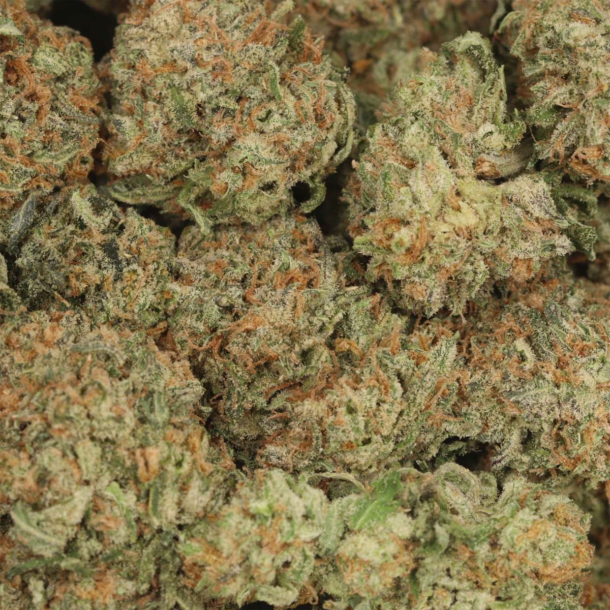 Choco Kush - Indica at The Green Pot (photo 3)