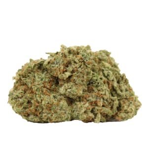 Dairy Queenie - Hybrid at The Green Pot
