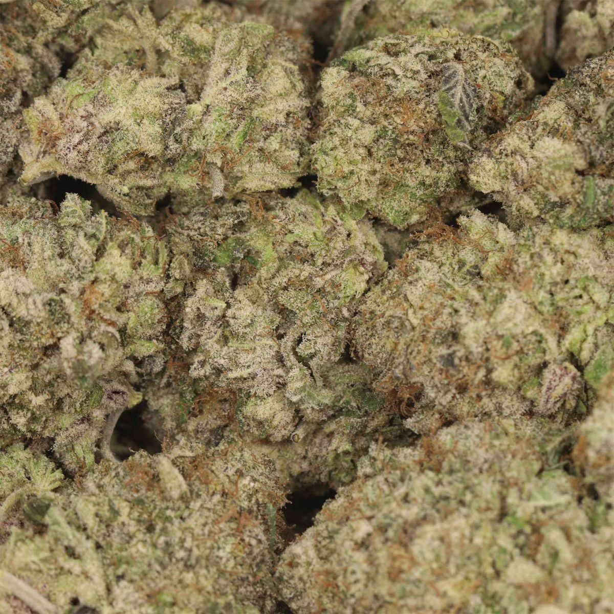 Fruity Donut - Indica at The Green Pot (photo 3)