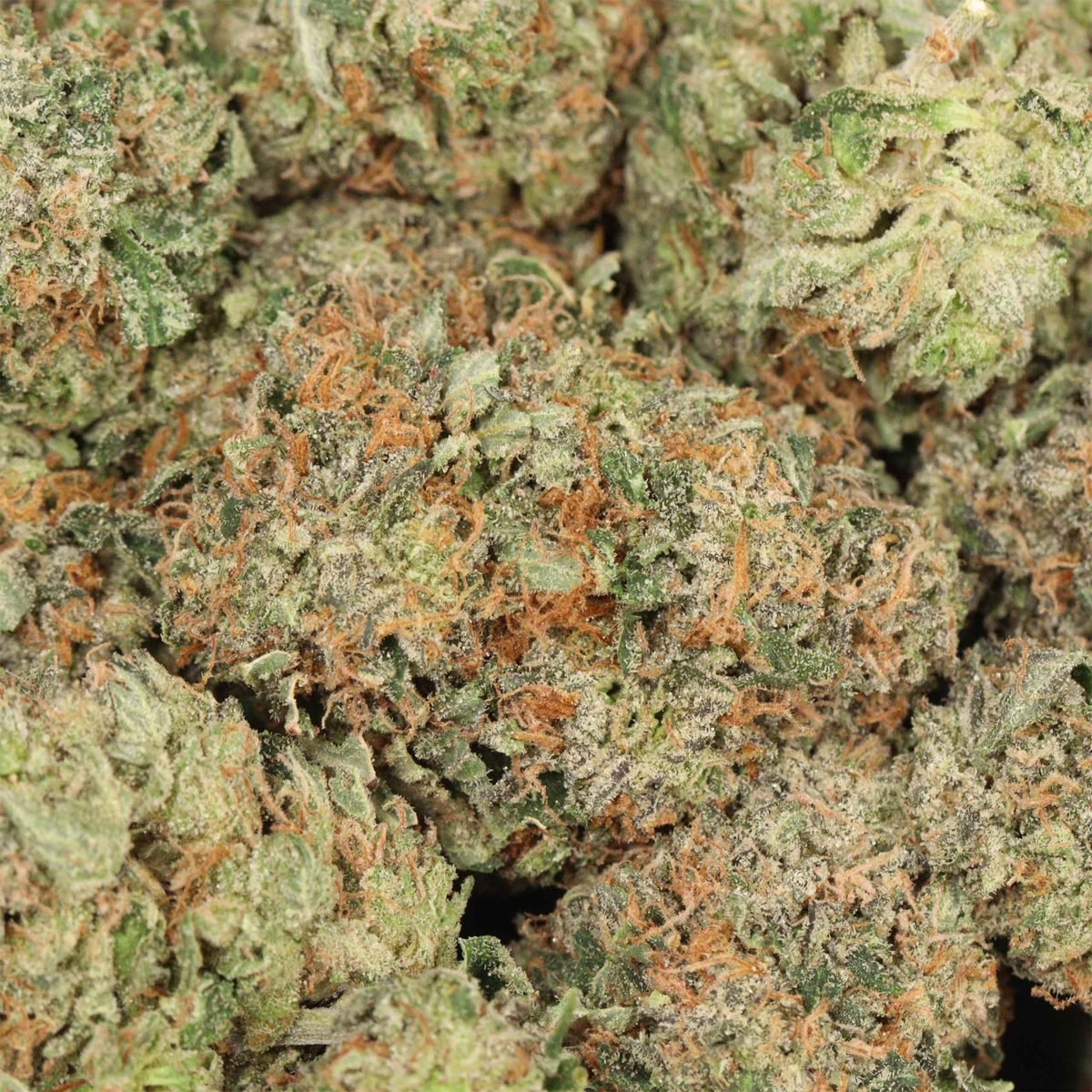 Gelato - Indica at The Green Pot (photo 3)