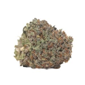 German Shepherd - Sativa at The Green Pot