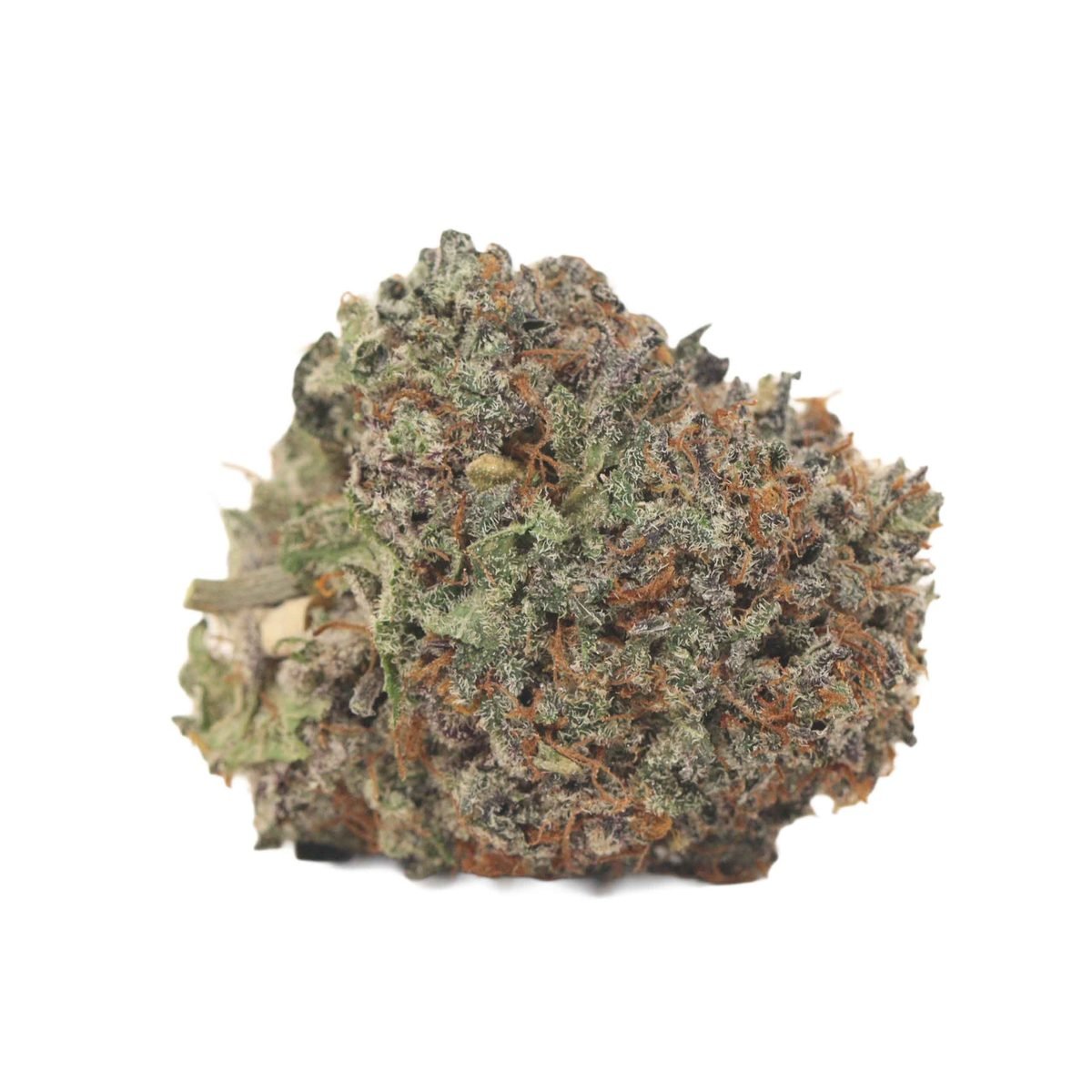 German Shepherd - Sativa at The Green Pot