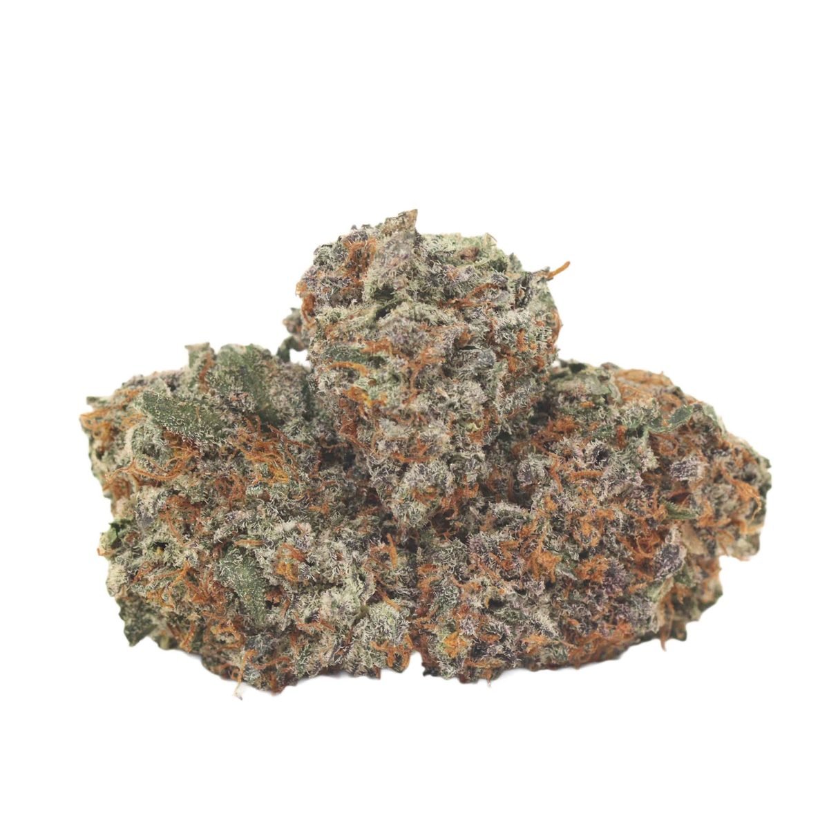 German Shepherd - Sativa at The Green Pot (photo 2)