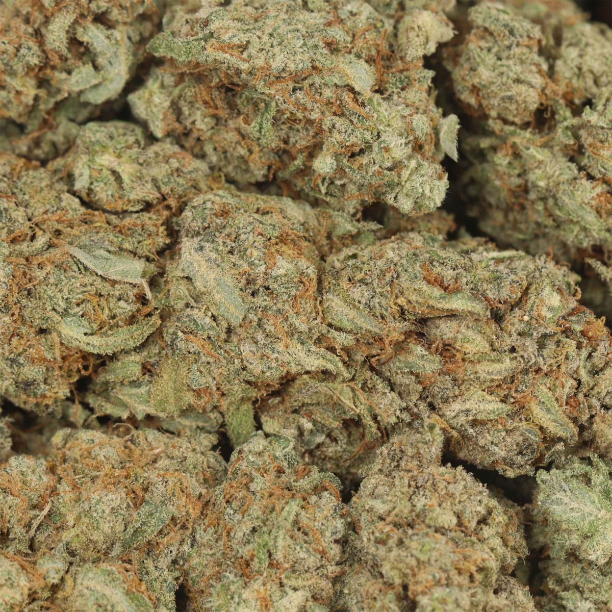 Glue Monkey - Indica at The Green Pot (photo 3)