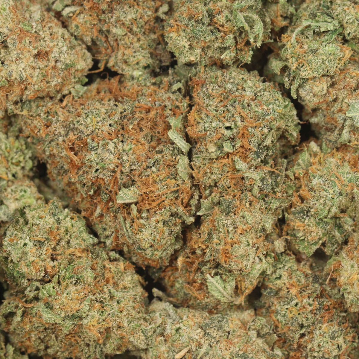 Golden Haze - Sativa at The Green Pot (photo 3)