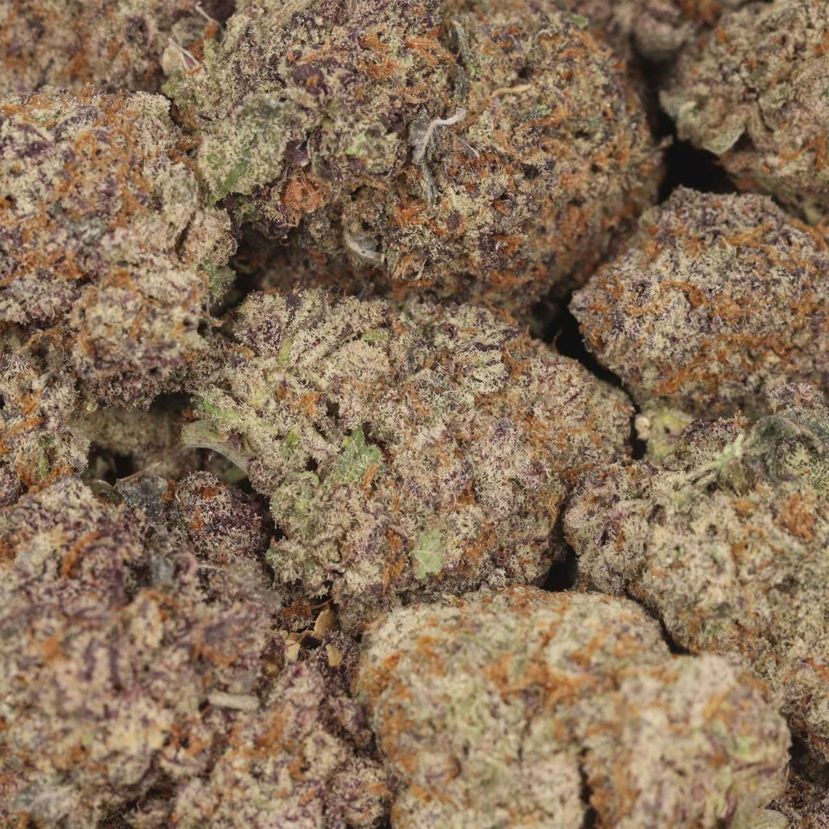 Gorilla Glue - Indica at The Green Pot (photo 3)