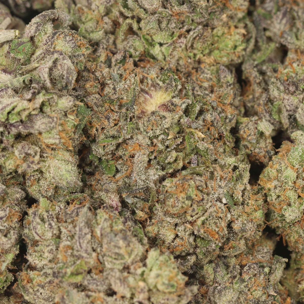 Hawaiian - Sativa at The Green Pot (photo 3)