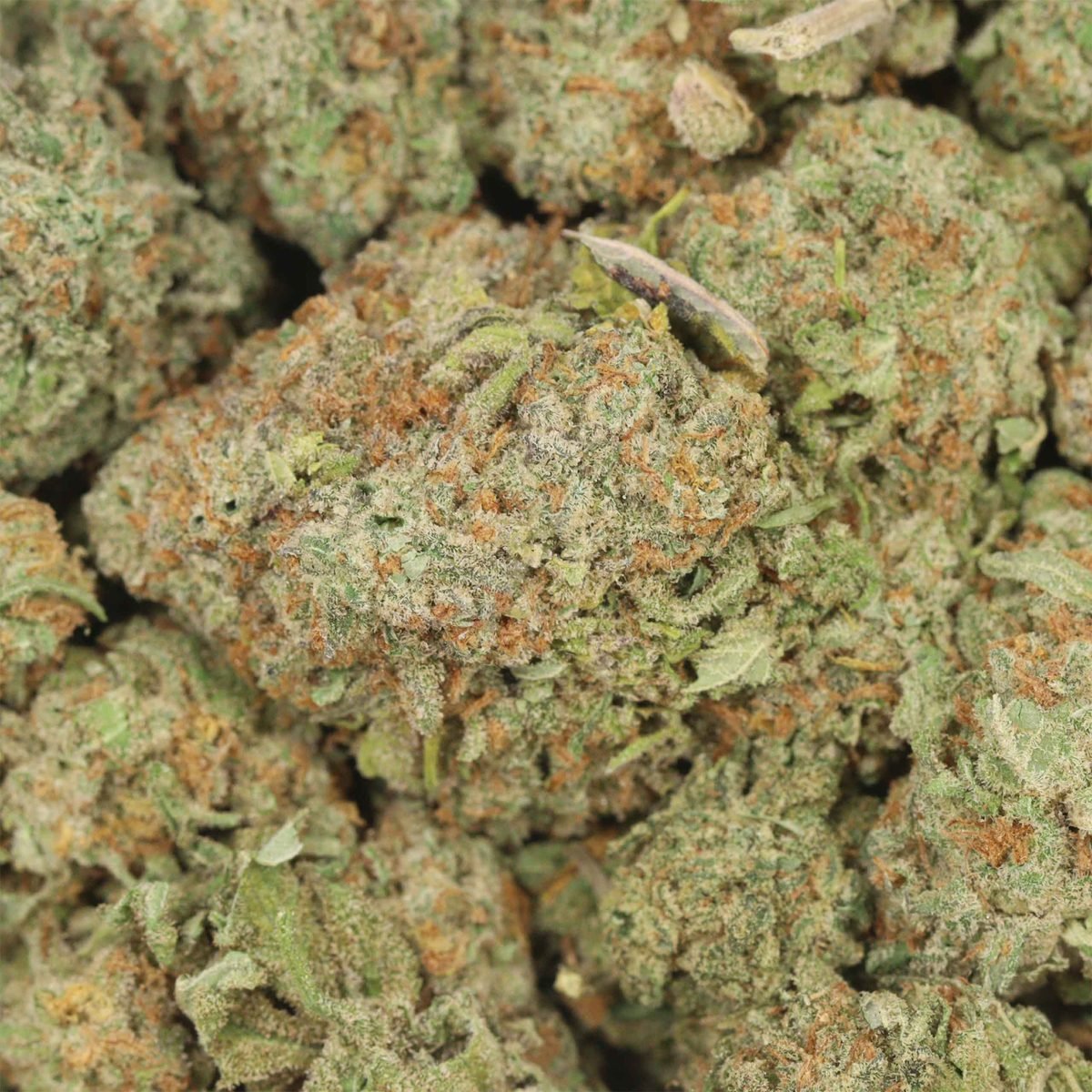 Mimosa - Sativa at The Green Pot (photo 3)