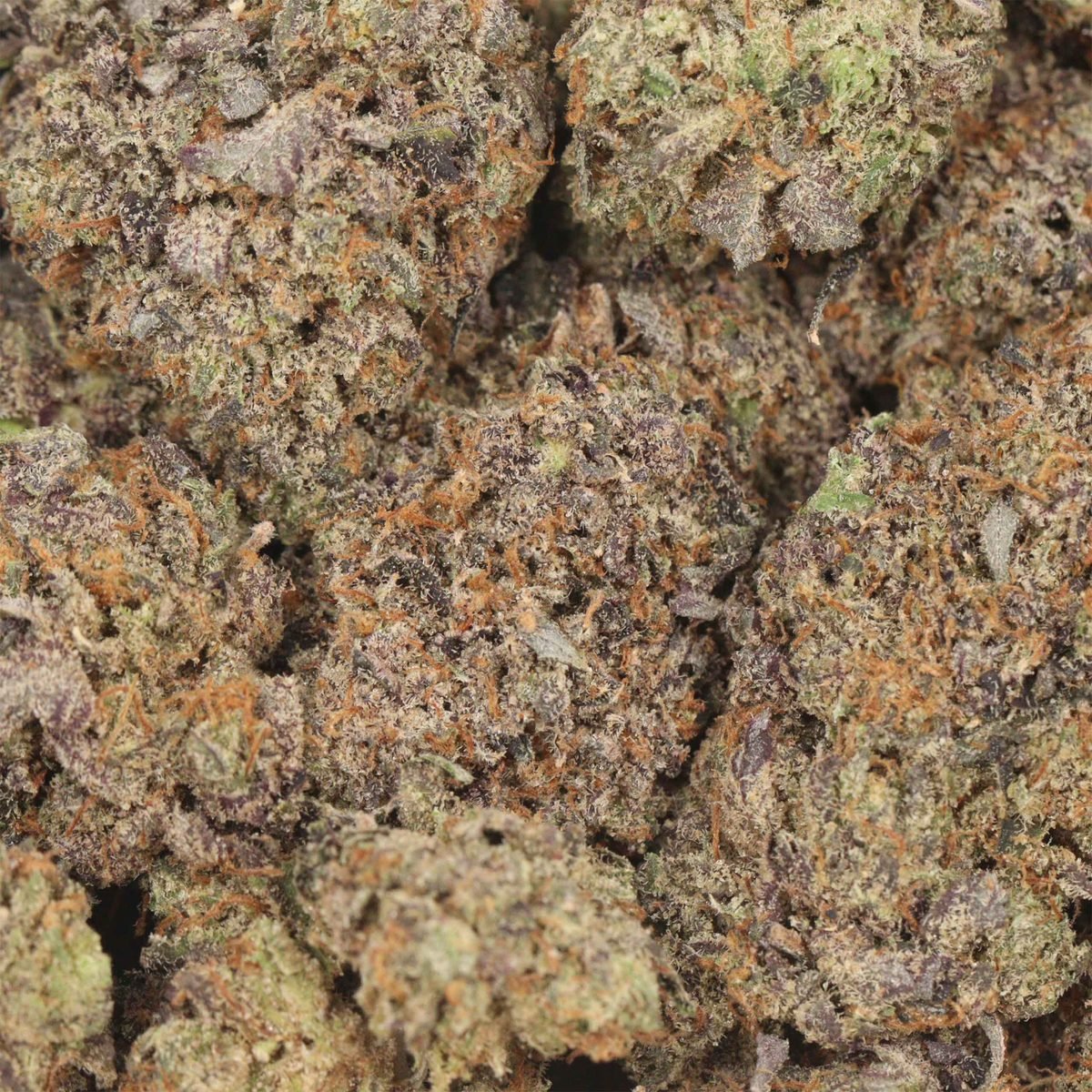 OG Kush - Indica at The Green Pot (photo 3)