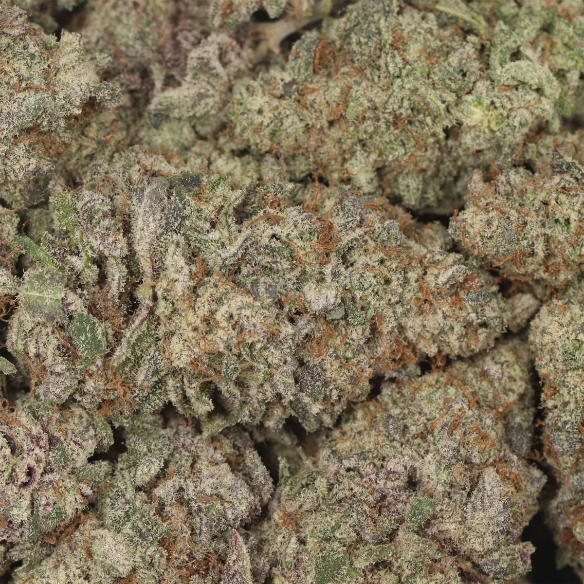 Orange Kush - Indica at The Green Pot (photo 3)