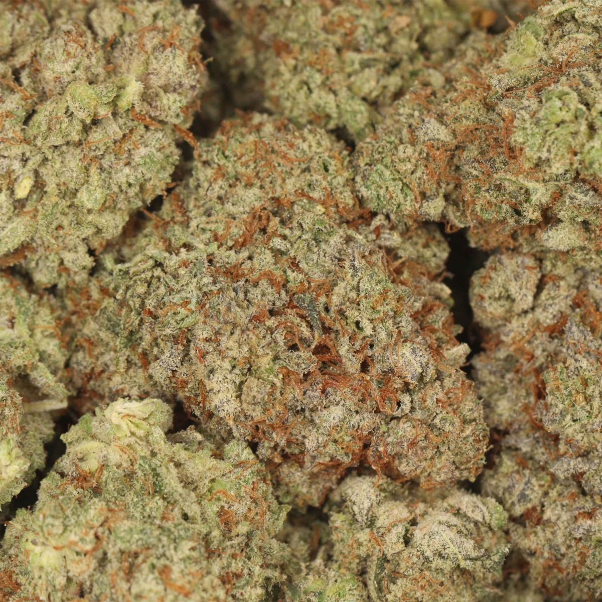 Pluto Cookies - Hybrid at The Green Pot (photo 3)