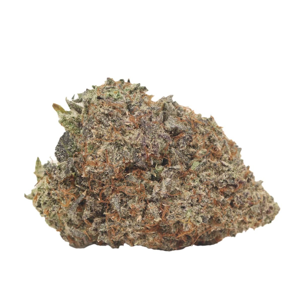 Popcorn - Hybrid at The Green Pot (photo 2)