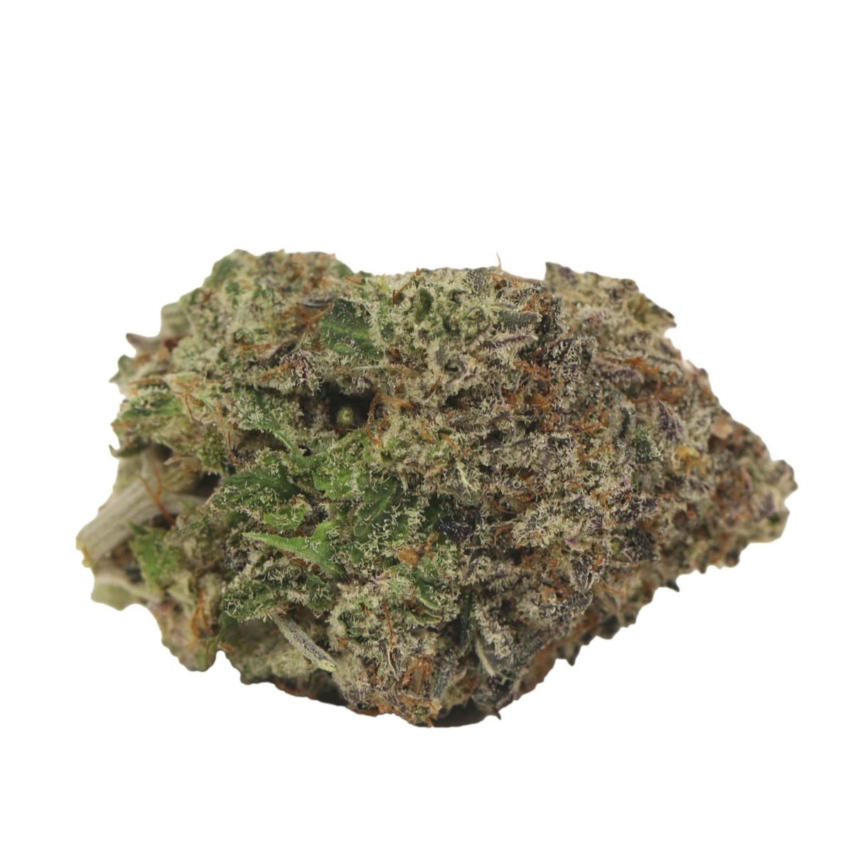 Pure Amsterdam - Hybrid at The Green Pot