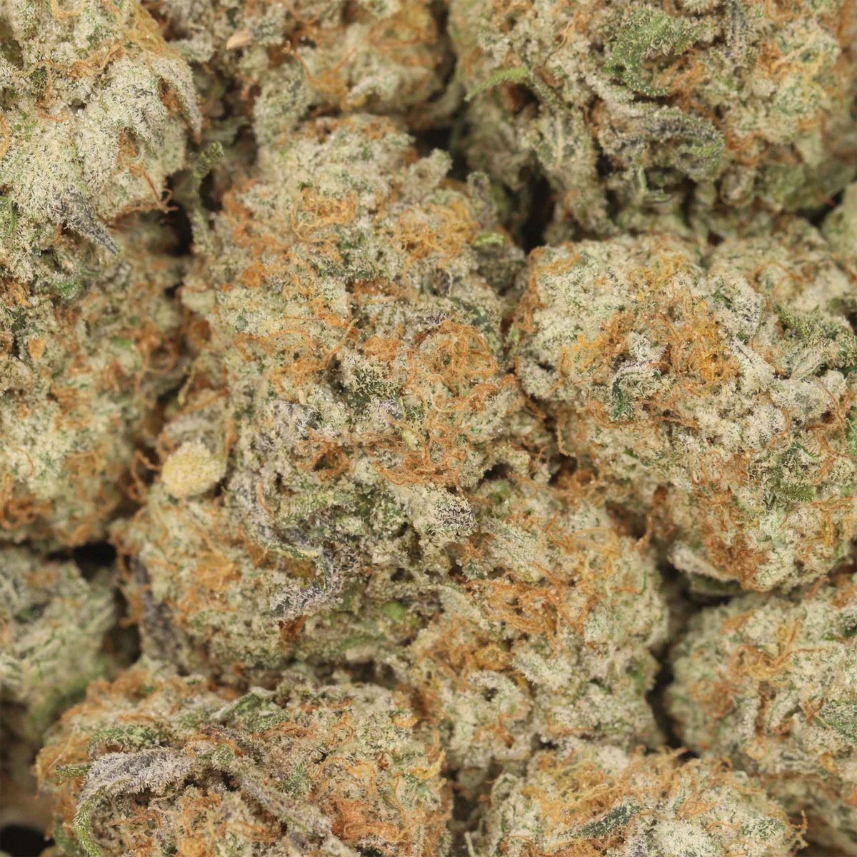 Purple Cherry - Indica at The Green Pot (photo 3)