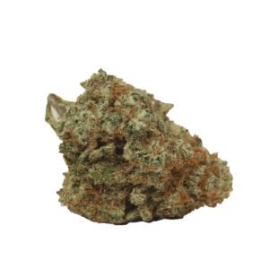Purple Moon - Hybrid at The Green Pot