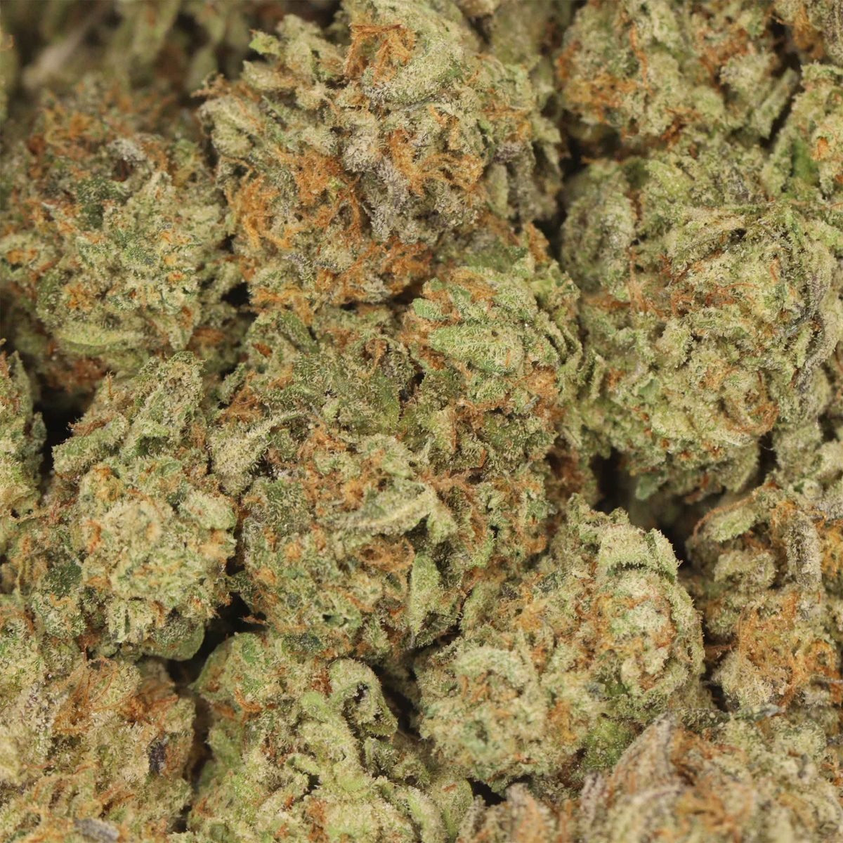 Shiny Widow - Indica at The Green Pot (photo 3)