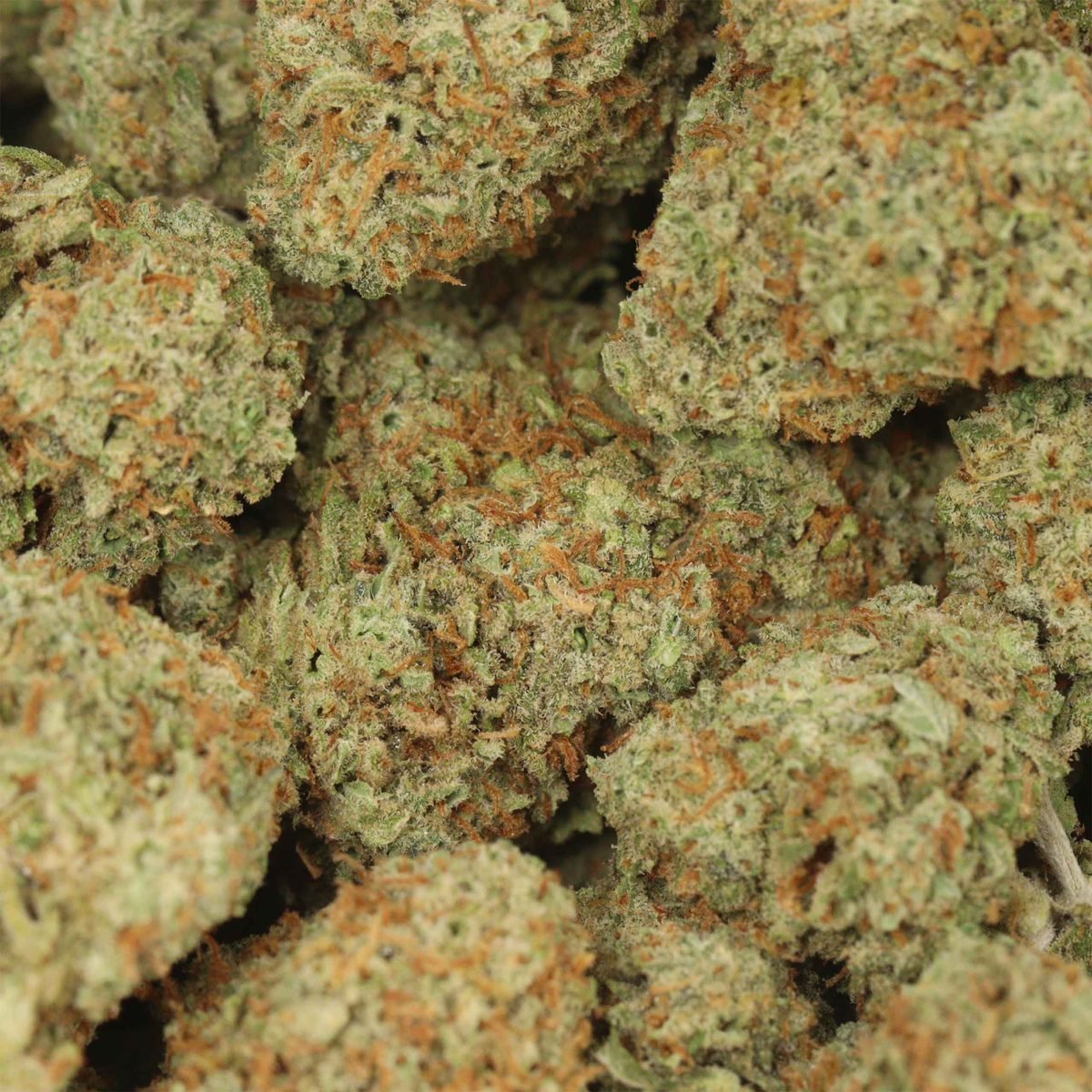 Sour Apple - Hybrid at The Green Pot (photo 3)