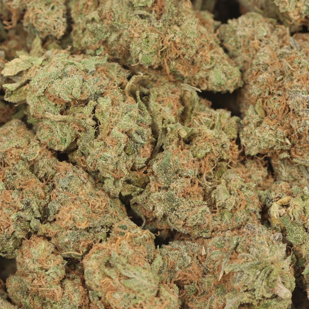 Wedding Cake - Indica at The Green Pot (photo 3)
