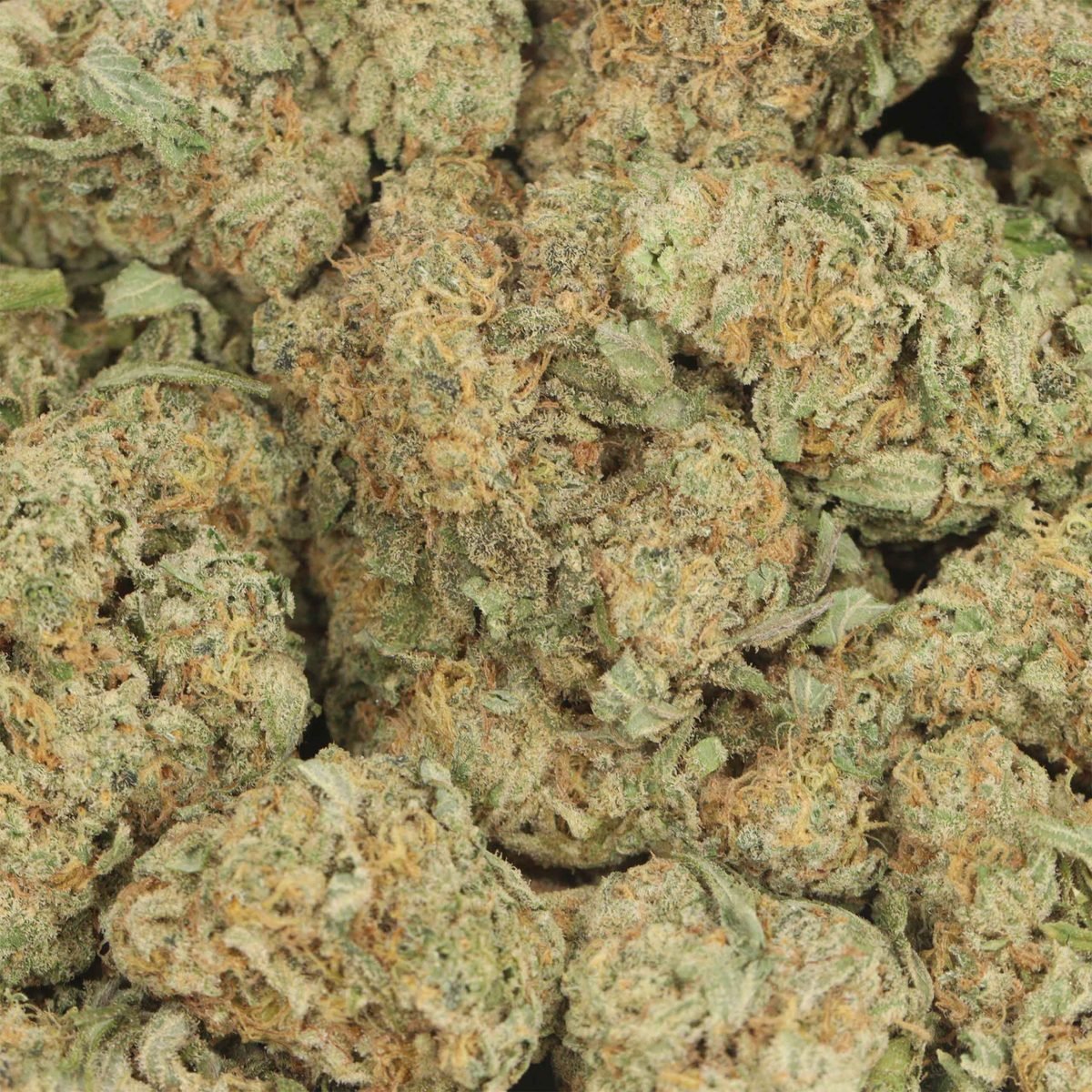 White Congo - Sativa at The Green Pot (photo 3)